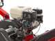 Ginko TT790 - Desbrozadora de ruedas profesional de martillos - Motor Honda GX270
