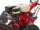 Ginko TT790 - Desbrozadora de ruedas profesional de martillos - Motor Honda GX270