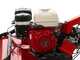 Ginko TT790 - Desbrozadora de ruedas profesional de martillos - Motor Honda GX270
