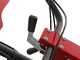 Ginko TT790 - Desbrozadora de ruedas profesional de martillos - Motor Honda GX270