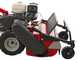 Ginko TT790 - Desbrozadora de ruedas profesional de martillos - Motor Honda GX270