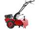 Geotech MCT 550 - Motocultor de gasolina - Ducar DH212 - Fresa reversible - 7HP
