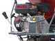 Blue Bird 310-SHL 1200 - Biotrituradora autopropulsada de orugas con carretilla a motor - Motor Loncin G420F