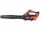 Blue Bird BL 22-300 - Soplador de bater&iacute;a - 21 V 5 Ah