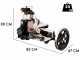 Berkel B114 Negra - Cortadora de fiambre de volante con pedestal - Cuchilla de acero cromado de 320 mm