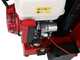 Ceccato Tritone BIG - Biotrituradora de gasolina - Motor Honda GX390 arranque el&eacute;ctrico