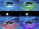 Luz solar flotante - Intex