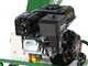 GreenBay GB-WRC 55 RB - Biotrituradora con motor de gasolina RATO R210-A de 7 HP