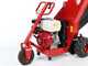 Ceccato Tritone Maxi autopropulsado de ruedas - Biotrituradora de gasolina - Motor Honda GX390