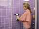 Karcher WV 5 Plus N - Limpiacristales de bater&iacute;a - aspirador de gotas - 3.7V 2Ah