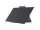 EcoFlow Placa solar port&aacute;til - 400W
