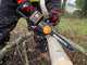Worx Nitro WG350E.9 - Electrosierra 20V - BATER&Iacute;A Y CARGADOR NO EST&Aacute;N INCLUIDOS