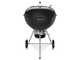 Weber Master Touch E-6755 WBR - Barbacoa de carb&oacute;n