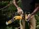 DeWalt DCMPS520P1-QW - Electrosierra de poda - 18V 5Ah - Espada de 20 cm