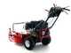 Blue Bird LM 715 PRO - Cortac&eacute;sped de gasolina - Ancho de corte 71 cm