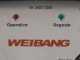 Weibang WBGT6813-TE - Desbrozadora profesional de martillos radiocontrolada - de orugas - h&iacute;brida
