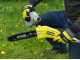 Ryobi RY36PP25A-0 - Podadora de bater&iacute;a con p&eacute;rtiga - MAX POWER 36V - Espada de 25cm - BATER&Iacute;A Y CARGADOR NO INCLUIDOS