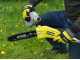 Ryobi RY36PP25A-0 - Podadora de bater&iacute;a con p&eacute;rtiga - Espada de 25cm - MAX POWER 36V 2Ah