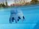 Tratamiento para piscinas Gre Poolp'o 0 - 10m&sup3; - 250g