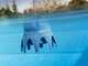 Tratamiento para piscinas Gre Poolp'o 10 - 20m&sup3; - 500g