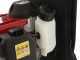 Lisam ETA BETA - Generador port&aacute;til de gasolina para vareadores