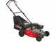 Rato Multipower RMP46Q-V125 - Cortac&eacute;sped de gasolina - Motor Rato de 127cc