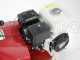 Eurosystems Euro 5 EVO - Motoazada de gasolina 5 HP - Motor Honda GP 160