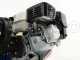 Comet APS 41 - Motobomba fumigadora con carro - Motor de gasolina Honda GX 160