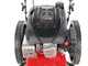 Rato Multipower RCV2.8-22Q-A - Desbrozadora de ruedas de gasolina - 4 tiempos - De empuje
