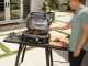 Ninja Woodfire Pro XL OG901EU - Barbacoa el&eacute;ctrica con ahumador