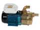 Tellarini EEM 40 - Bomba el&eacute;ctrica de trasiego de lat&oacute;n - Monof&aacute;sica - 230 V
