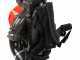 Blue Bird BBL 801 - Soplador de mochila con motor de 2 tiempos