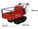 Blue Bird Carrier 300 - Carretilla de orugas con caj&oacute;n extensible - Capacidad  300Kg