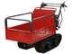 Blue Bird Carrier 300 - Carretilla de orugas con caj&oacute;n extensible - Capacidad  300Kg