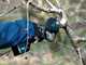 Campagnola NOVA 40 - Tijera el&eacute;ctrica de bater&iacute;a - 21.6V 2.5Ah