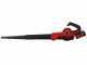 Einhell GE-UB 18/250 Li E - Soplador de bater&iacute;a - 18V/4,0Ah