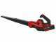 Einhell GE-UB 18/250 Li E - Soplador de bater&iacute;a - 18V/4,0Ah