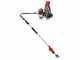 Blue Bird GX50 - Desbrozadora + Vibrador con gancho de gasolina cm 280 motor de mochila Honda - Vibrador de aceitunas