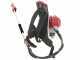 Blue Bird GX50 - Desbrozadora + Vibrador con gancho de gasolina cm 280 motor de mochila Honda - Vibrador de aceitunas