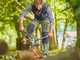 Gardena EnergyCut Pro S - Cortarramas Bypass - Longitud 60 cm
