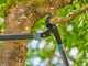Gardena EnergyCut Pro L - Cortarramas de yunque - Longitud 75 cm