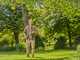 Gardena StarCut Pro S - Tijeras de poda cortarramas con p&eacute;rtiga fija 160cm - &Oslash; 32 mm