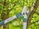 Gardena EasyCut S - Cortarramas Bypass - Longitud 50 cm