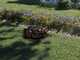 Worx Landroid Vision L1600 WR216E - Robot cortac&eacute;sped - Sin cable perimetral