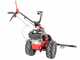 Eurosystems M310 - Motosegadora de doble cuchilla - Ancho de corte 127 cm - Rato RV200 OHV