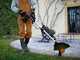 Worx WG173E - Cortabordes de bater&iacute;a 3 en 1 - 20V 4Ah