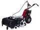 Eurosystems Minieffe M150 - Desbrozadora de gasolina - Falciatutto PRO - B&amp;S 625 EXi