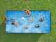 Bestway APX 365 561KA - 549x274x132 cm - Piscina desmontable para 7-8 personas
