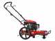 Blue Bird TrimTech W - Desbrozadora de ruedas de gasolina 4 tiempos de empuje