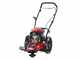 Blue Bird TrimTech W - Desbrozadora de ruedas de gasolina 4 tiempos de empuje